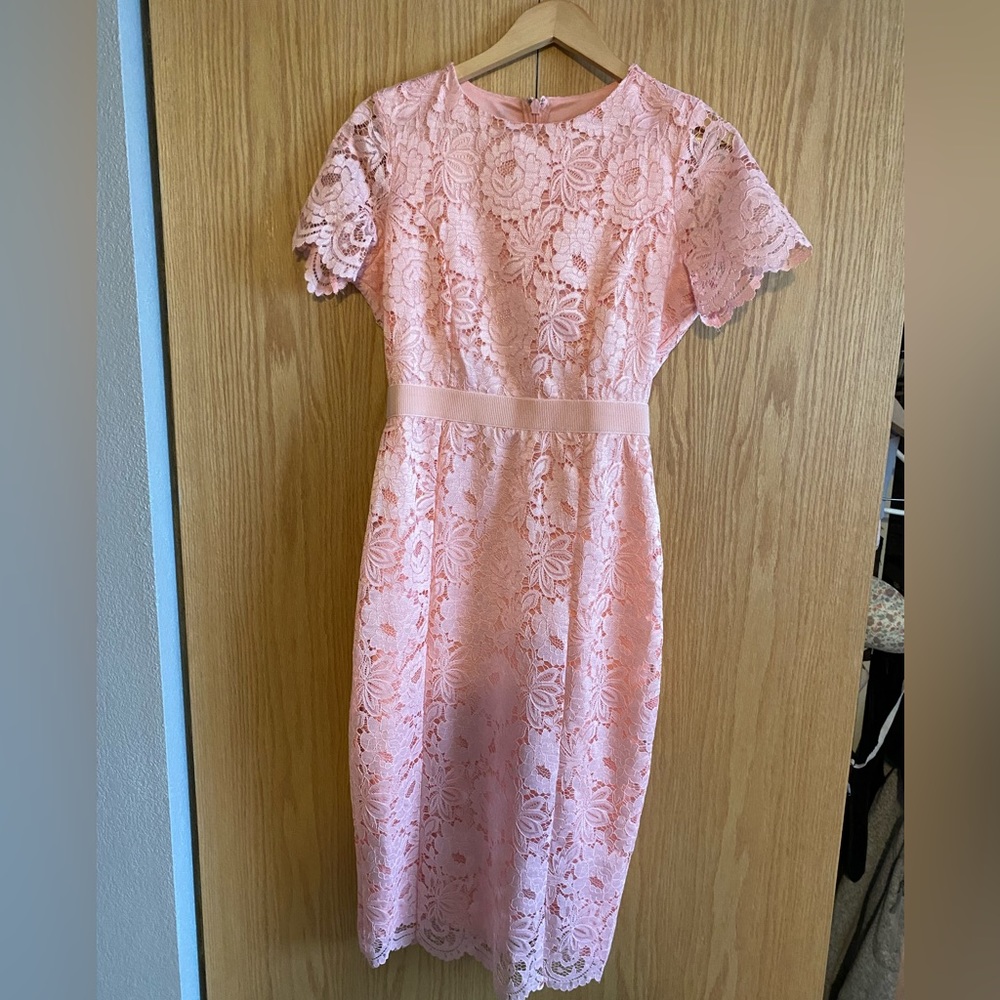 Alexia Admor Delora Lave Sheath Dress- Blush-size 8